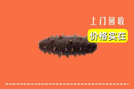 收购资讯:泸州古蔺县回收海参